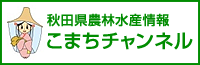 こまちチャンネル